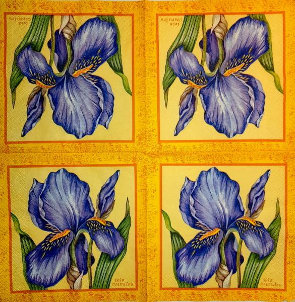 147 Lilies - 3-ply - Avantgarde